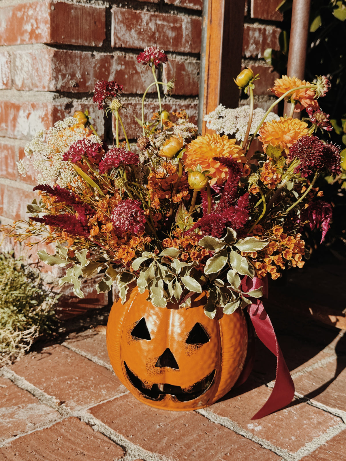 Sweet Pumpkin Pal