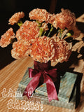 Can~O~Carns! Polka Dotted Carnations!