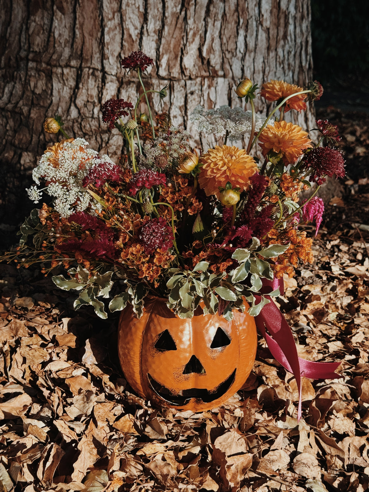Sweet Pumpkin Pal