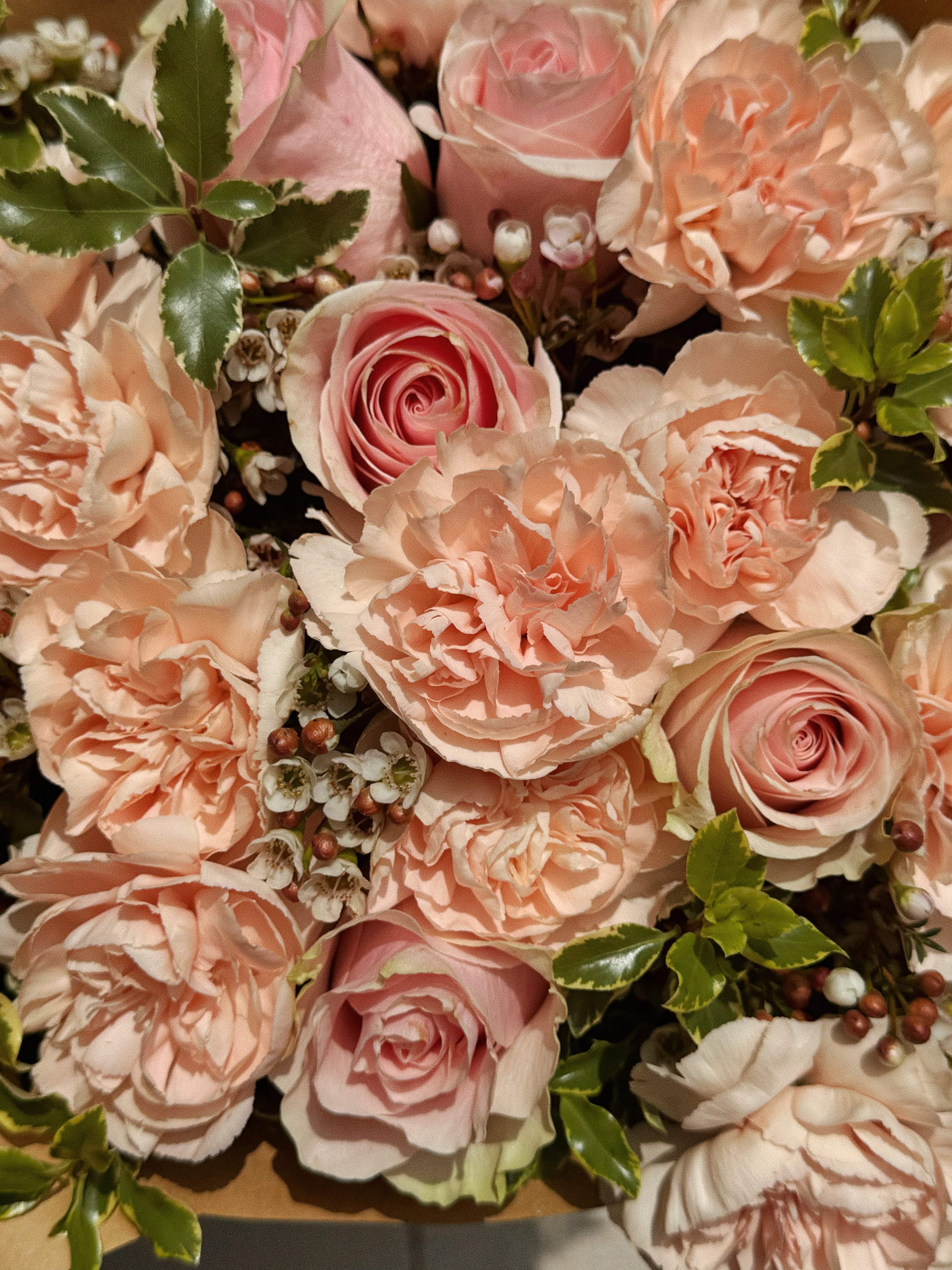 The blushing pilgrim {bouquet}
